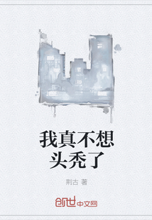 我真不想头秃了章节列表