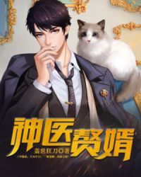 神医赘婿章节列表