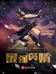 史上最强赘婿章节列表