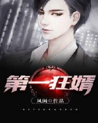 第一狂婿章节列表
