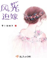 风光迫嫁章节列表