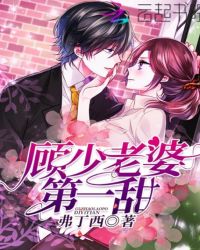 顾少老婆第一甜章节列表