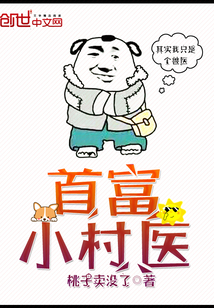 首富小村医章节列表