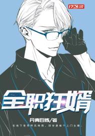 全职狂婿章节列表