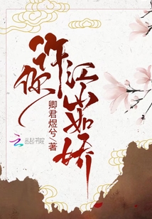 许你江山如娇章节列表