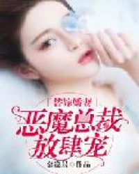 替嫁娇妻：恶魔总裁放肆宠章节列表