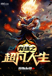龙珠之超凡人生章节列表