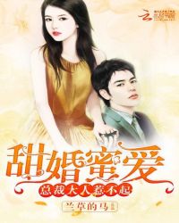 甜婚蜜爱：总裁大人惹不起章节列表