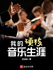 我的硬核音乐生涯章节列表