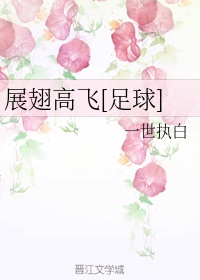 展翅高飞[足球]章节列表