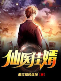 仙医佳婿章节列表