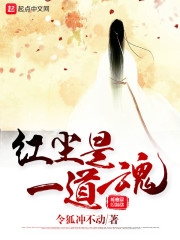 红尘是一道魂章节列表