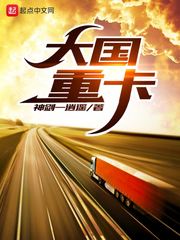 大国重卡章节列表