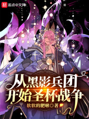 从黑影兵团开始圣杯战争章节列表