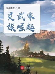 灵武家族崛起章节列表