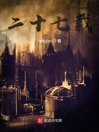 二十七载章节列表