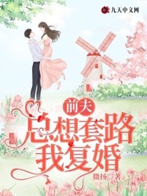 前夫总想套路我复婚章节列表