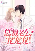 薄先生的宠妻日常章节列表