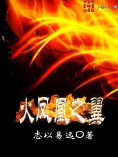 火凤凰之翼章节列表