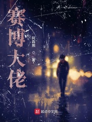 赛博大佬章节列表