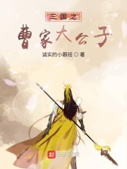 三国之曹家大公子章节列表