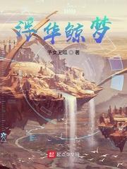 浮华鲸梦章节列表