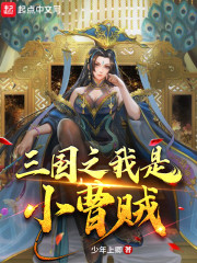 三国之我是小曹贼章节列表