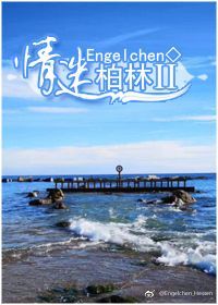 情迷柏林II章节列表