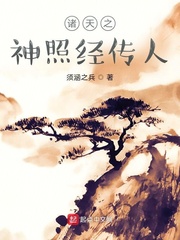 诸天之神照经传人章节列表