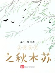 全职高手之秋木苏章节列表