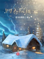 四合院风云章节列表