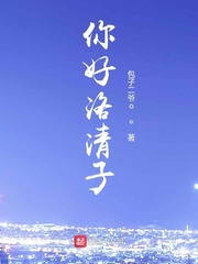 你好洛清子章节列表