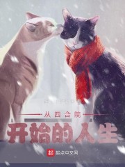 从四合院开始的人生章节列表