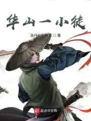 华山一小徒章节列表