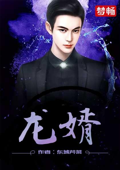 龙婿陆凡章节列表