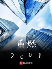 重燃2001章节列表