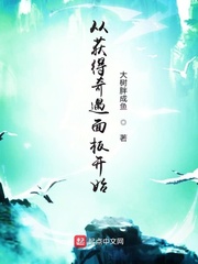 从获得奇遇面板开始章节列表