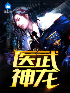 医武神龙如水追梦章节列表