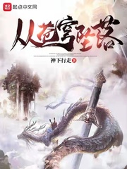 从苍穹坠落章节列表