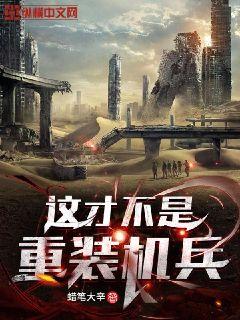 这才不是重装机兵章节列表