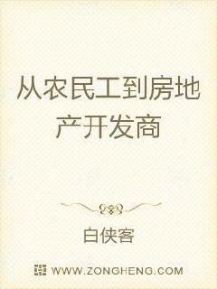 从打工仔到房地产开发商章节列表