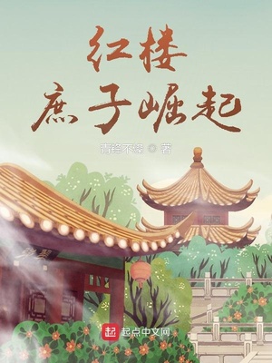 红楼：庶子崛起章节列表