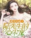 重生后成了陆先生的心尖宠章节列表