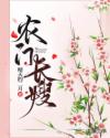 农门长嫂章节列表