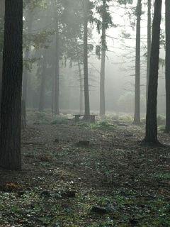 大秦：对抗一切才能赢章节列表