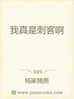 我真是刺客啊章节列表