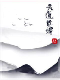 天道赘婿章节列表