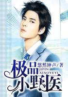极品小野医章节列表