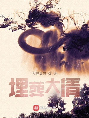 埋葬大清章节列表