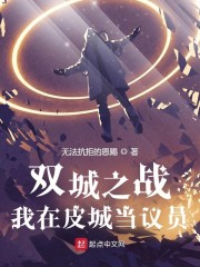 双城之战：我在皮城当议员章节列表